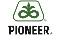 Pioneer® Seed Corn