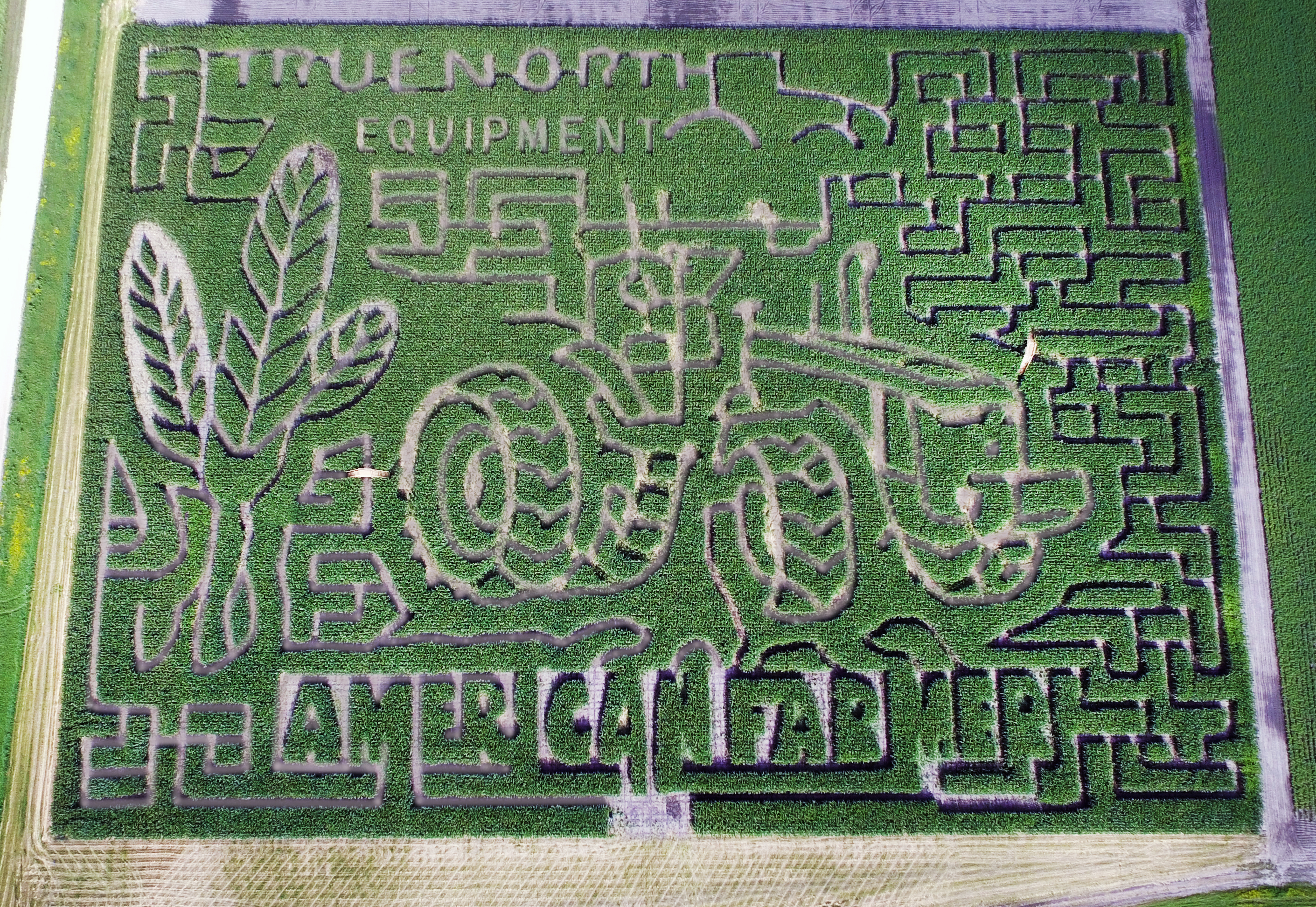 2015 maze map