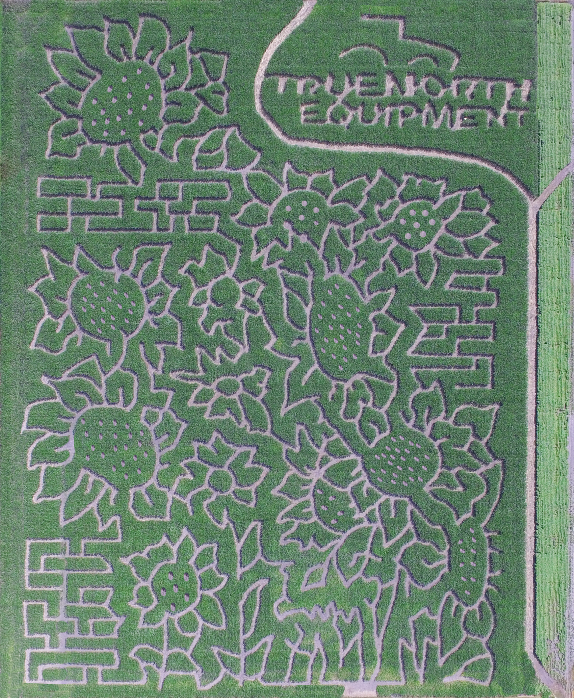 2020 maze design